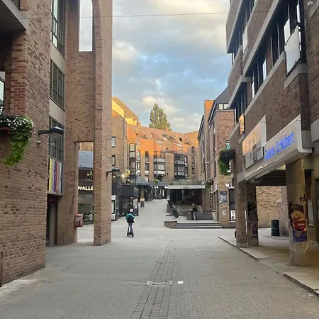 Duplex Au Coeur De *